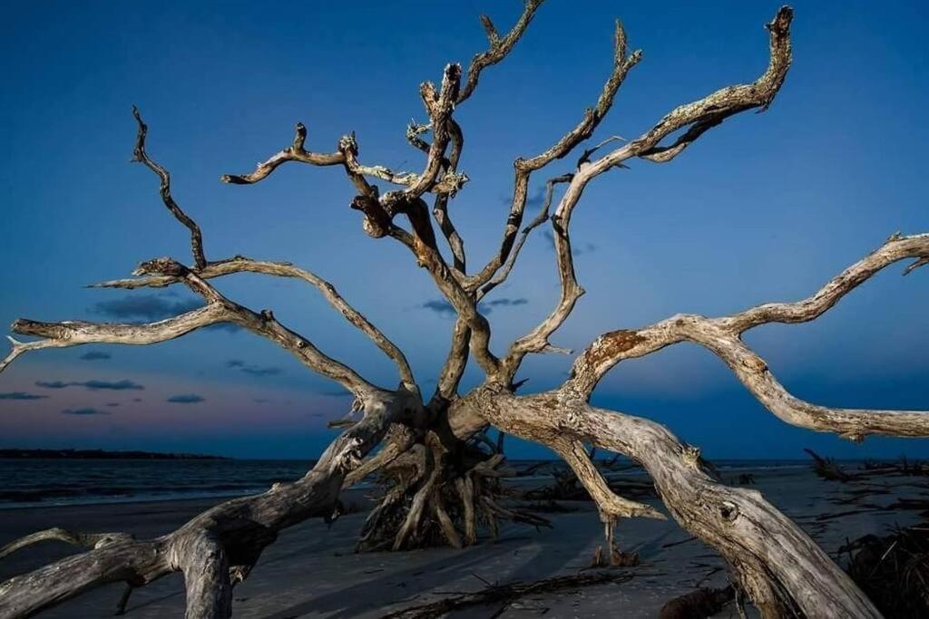 Jekyll Island House/ Kellys On The Coast /King Bedヴィラ エクステリア 写真
