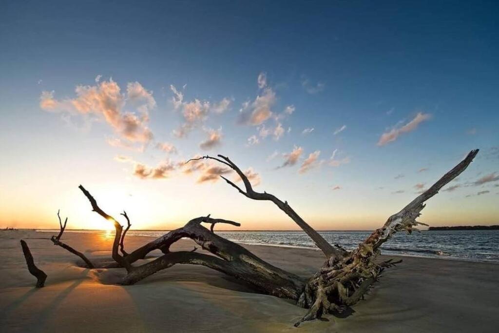 Jekyll Island House/ Kellys On The Coast /King Bedヴィラ エクステリア 写真