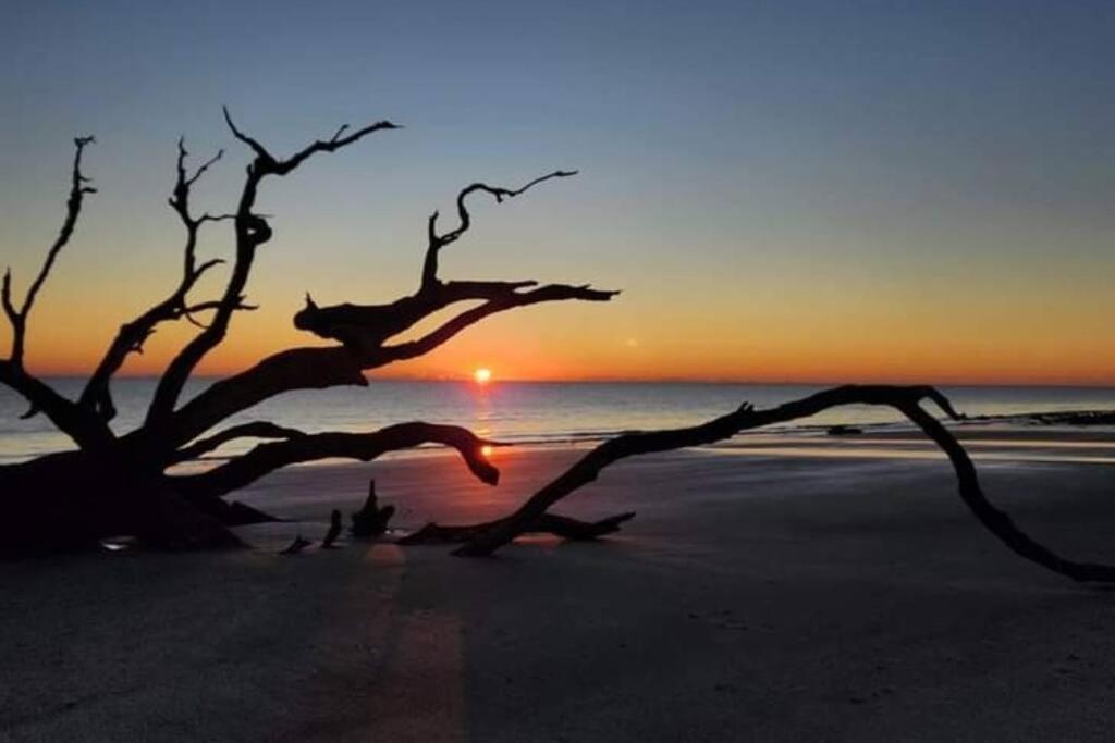 Jekyll Island House/ Kellys On The Coast /King Bedヴィラ エクステリア 写真
