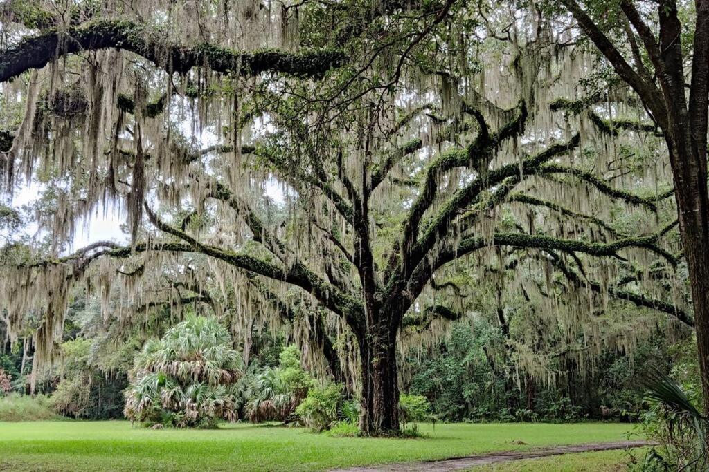 Jekyll Island House/ Kellys On The Coast /King Bedヴィラ エクステリア 写真