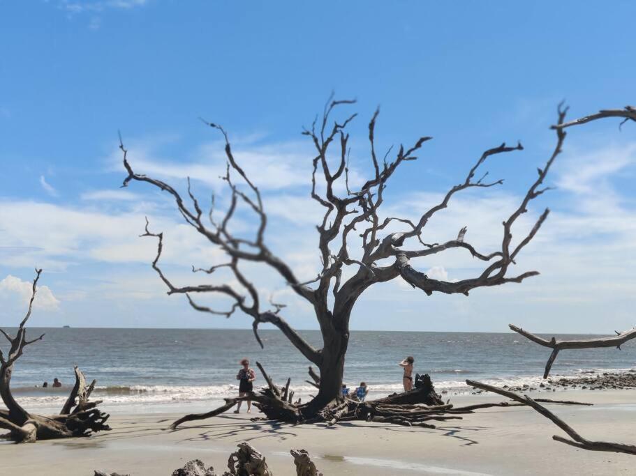 Jekyll Island House/ Kellys On The Coast /King Bedヴィラ エクステリア 写真